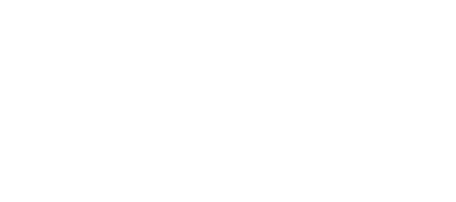 Texican Sweets Logo